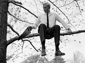 Cutting Prints: 1960S Businessman In Shirt And Tie Sitting On Tree Limb He'S Sawing
