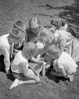 Injured Prints: 1960s GROUP OF CHILDREN AND A DOG HELPING AN INJURED BIRD
