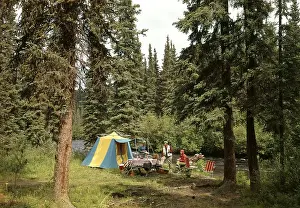 Tent Prints: 1970s 1980s FAMILY TENT CAMPSITE IN PINE FOREST BESIDE STREAM