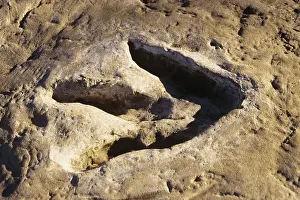 Extinction Prints: 1990s DINOSAUR TRACK GLEN ROSE TX USA