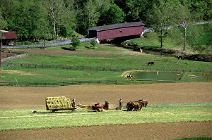 Spring Time Prints: 1990s HORSE DRAWN AMISH HAY BAILER AND WAGON WORKING IN FIELD NEAR COVERED BRIDGE LANCASTER COUNTY PENNSYLVANIA USA