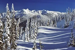 Vista Prints: 1990s WINTER SNOW SCENE STEEPLE ROCK OLYMPIC NATIONAL PARK WASHINGTON STATE USA
