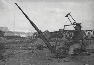Guns Prints: The 20 mm (Land Based) Oerlikon AA