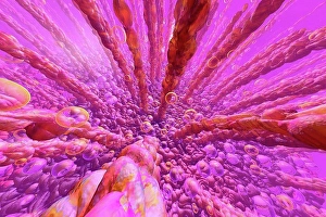 Magenta Prints: 3D Illustration, human intestinal villi and the the metabolism