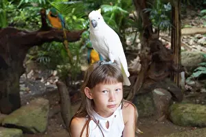 Pre Teen Prints: A 5-10 year old girl with a white parrot ara on her head full fa
