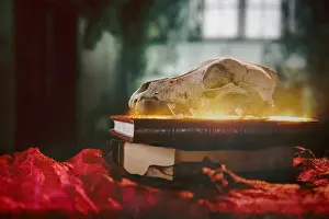Desk Prints: In the abode of the alchemist and magician. Magic Halloween background