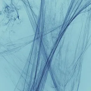 Natural Pattern Prints: Abstract light pattern, long exposure of laser and LED light