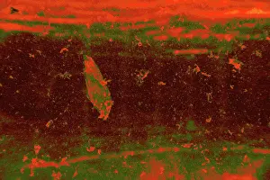 Chic Prints: Abstract orange water splash and drops