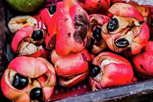 Caribbean Prints: Ackee seeds from Jamaica local delicasy poison