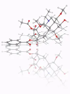 Large Group Prints: Aconitine. Molecular model of the deadly neurotoxin aconitine (C34)