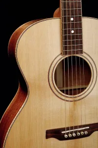 Curve Prints: Acoustic guitar from the bridge up to the top of the body; United States of America