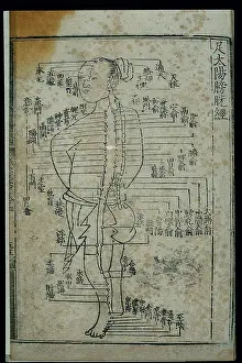 Chart Prints: Acupuncture chart, bladder channel of foot taiyang, Chinese