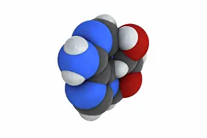 Compound Prints: Adenosine (Ado) purine nucleoside molecule