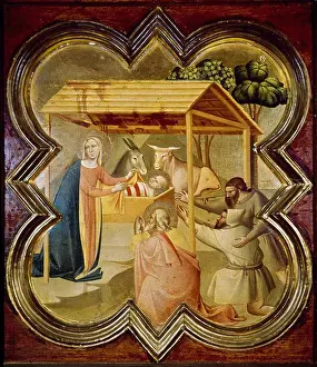 Adoration Prints: Adoration of the Shepherds Taddeo Gaddi (ca. 1300-1366 Italian)