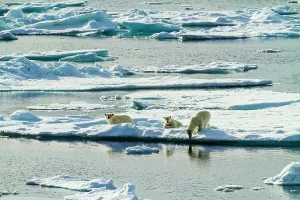 Adventure Travel Arctic Arctic Ocean Climate Change