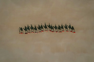 Dromedary Prints: Aerial view of camels walking on a beach with people riding on their back that are casting shadows in the sand