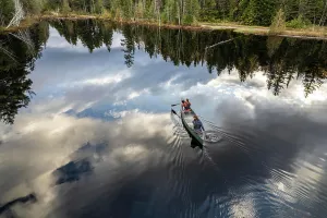 36 39 Years Old Prints: Aerial view of couple paddling canoe on lake in Maine woods