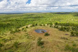 Shapes Prints: Aerial View of an elephant near a lake at Balule Nature Reserve