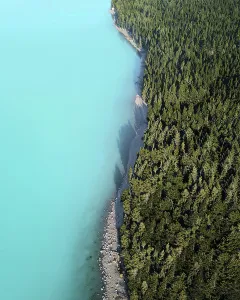 Dreamy Prints: Aerial view of evergreen trees and glacial water at the edge of Lake Pukaki