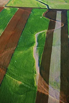 Great Plains Prints: An aerial view of farm land and a dry stream bed, in eastern Colorado