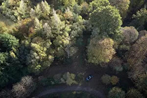 Drone Point Of View Prints: Aerial view idyllic autumn treetops