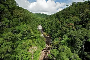 Conservation Prints: An aerial view of the Maliau River with Maliau Falls in Maliau Basin