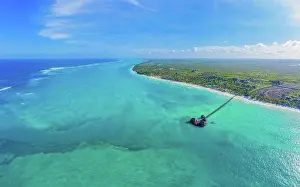 Top Down Prints: Aerial view of palms on the sandy beach of Indian Ocean at sunny