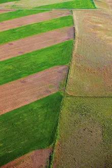 Great Plains Prints: An aerial view of patchwork of fields, on the plains of eastern Colorado