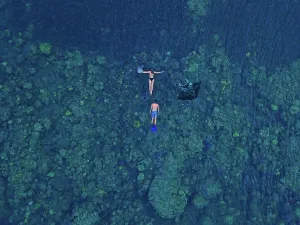 Aerial Prints: Aerial view of two people swimming near manta ray in blue waters of Pacific Ocean