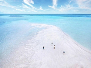 20 To 25 Years Prints: Aerial view of four people walking along sandy coast of¶ÿThulusdhoo¶ÿisland