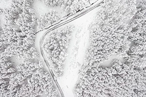 Naturalness Prints: Aerial view on the road and forest at the winter time