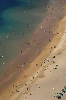 Top Down Prints: Aerial view, swimmers at the wide sandy beach