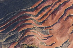 Terrace Prints: Aerial view of terraces landscape during the dry season in Islallana, La rioja, Spain