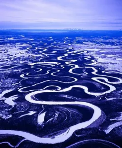 Curve Prints: Aerial view in winter of the meandering Big River and associated oxbow lakes east of McGrath
