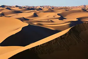 Arid Prints: Africa, Algeria, Beni Abbes