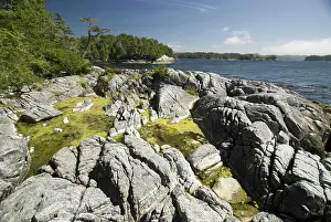 Coast Prints: Afternoon at Skull Cove, Bramham Island, British Columbia, Canada, August 2006