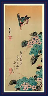 Blossoms Prints: Ajisai ni kawasemi, Hydrangea and Kingfisher