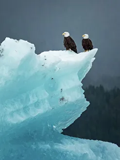 National Geographic Prints: Alaska Inside Passage Lindblad National Geographic