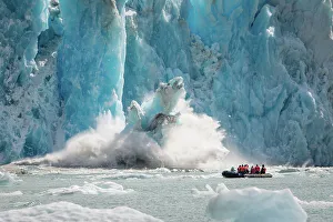 Juneau Prints: Alaska Inside Passage National Geographic Sea Lion