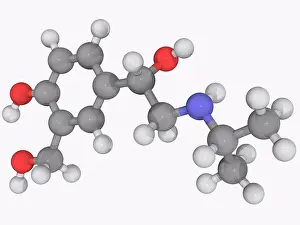Large Group Prints: Albuterol, molecular model