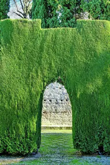 National Landmark Prints: Alhambra, Spain, Sculpted pine trees in the garden of the palace and fortress complex