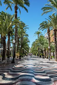alicante passeig esplanada popular famous promenade castle port Trending Item 6
