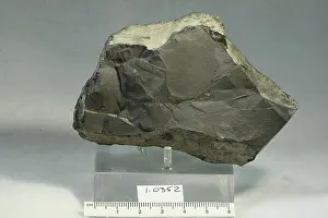 Mineral Prints: Allemontite. minerals. Europe; France; Dauphine Province; Isere Department; Allemont