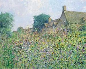 Gloucestershire Prints: Allotments At South Cerney, Gloucestershire