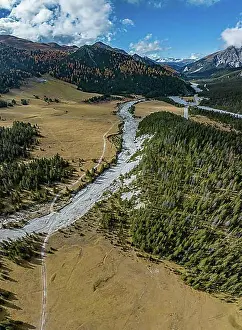 Mountain Chain Prints: Alluvial plain, Ova da Buffalora, Ofenpass, Grisons, Switzerland, Europe
