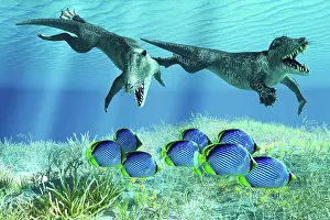 Extinct Prints: Ambulocetus hunting black-backed butterflyfish
