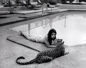 Actress Prints: American actress Lana Wood (Svetlana Nikolaevna Zakharenko)