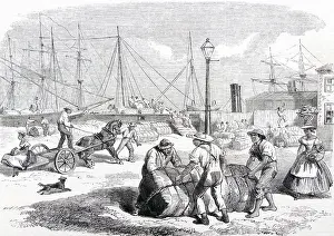 Brought Prints: American Civil War: Unloading bales of cotton at Nassau