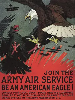 Aviation Prints: Be An American Eagle!