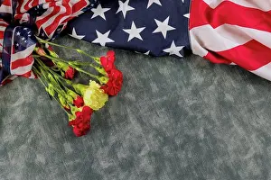 Celebrate Prints: American flag for Memorial Day in the Remembrance Veterans Day pink carnation flowers